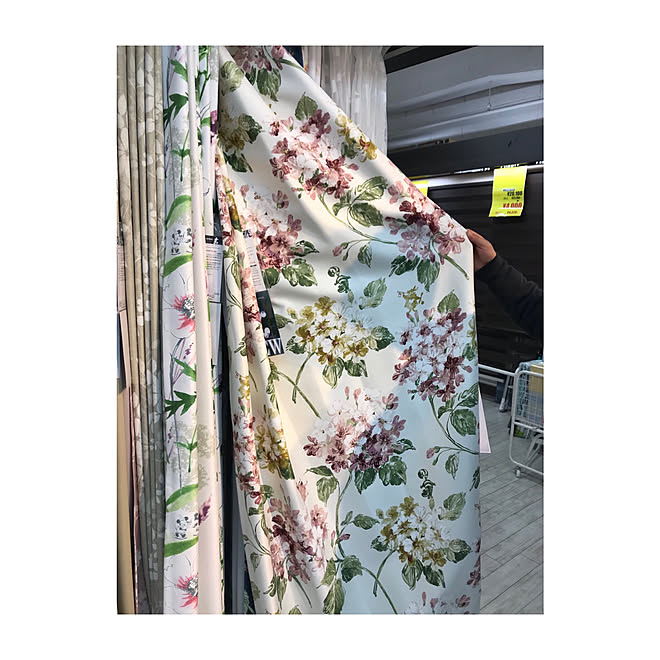 ベッド周り 不思議の国のアリス アリスカーテン カーテン ディズニー などのインテリア実例 18 02 14 00 31 03 Roomclip ルームクリップ