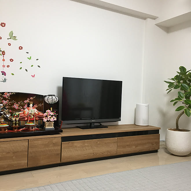 レコーダー置き場 リビング 観葉植物 ナチュラル テレビ台 などのインテリア実例 02 16 13 53 13 Roomclip ルームクリップ