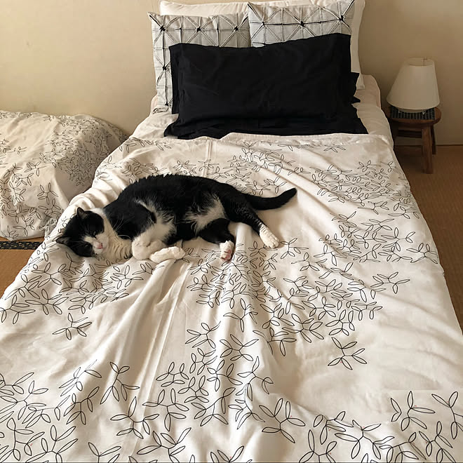 昔の愛用カヴァー/IKEA/布団カバー/猫とインテリア/過去の部屋シリーズ 