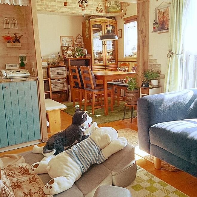 ソファベッド ニトリのラグ ニトリのくまさん抱き枕 Ikeaのハスキー犬 抱き枕 などのインテリア実例 10 29 55 17 Roomclip ルームクリップ