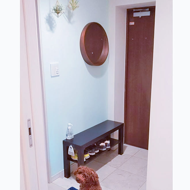 玄関 入り口 マンション シンプル フェイクグリーン ミントグリーン などのインテリア実例 21 01 28 11 45 48 Roomclip ルームクリップ