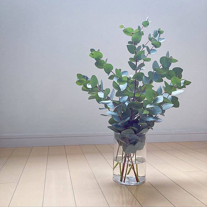 3coins セリア 花のある暮らし キャンドゥ 無印良品 などのインテリア実例 21 02 14 22 11 15 Roomclip ルームクリップ 3coins セリア 花のある暮らし キャンドゥ 無印良品 などのインテリア実例 21 02 14 22 11 15 Roomclip ルームクリップ