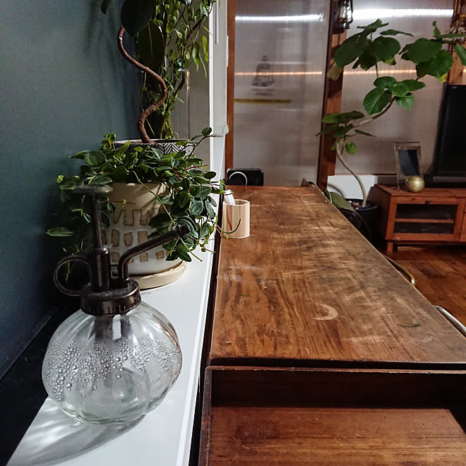 机 日用品 ニトリの霧吹き 雲龍柳 観葉植物 などのインテリア実例 09 19 23 22 45 Roomclip ルームクリップ