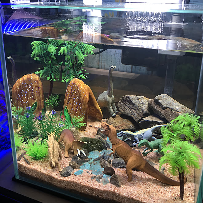 リビング 恐竜だいすき 恐竜 水槽 一人暮らし などのインテリア実例 18 08 28 23 08 55 Roomclip ルームクリップ リビング 恐竜だいすき 恐竜 水槽 一人暮らし などのインテリア実例 18 08 28 23 08 55 Roomclip ルームクリップ