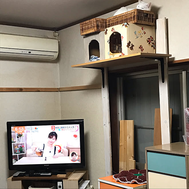 自宅介護 病気でもかわいい部屋にしたい 要介護5 猫のいる生活 エコ などのインテリア実例 19 11 21 05 06 06 Roomclip ルームクリップ