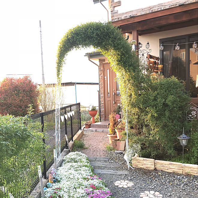 玄関 入り口 花のある暮らし 薔薇のアーチ 芝桜 つるバラ などのインテリア実例 18 04 28 35 53 Roomclip ルームクリップ