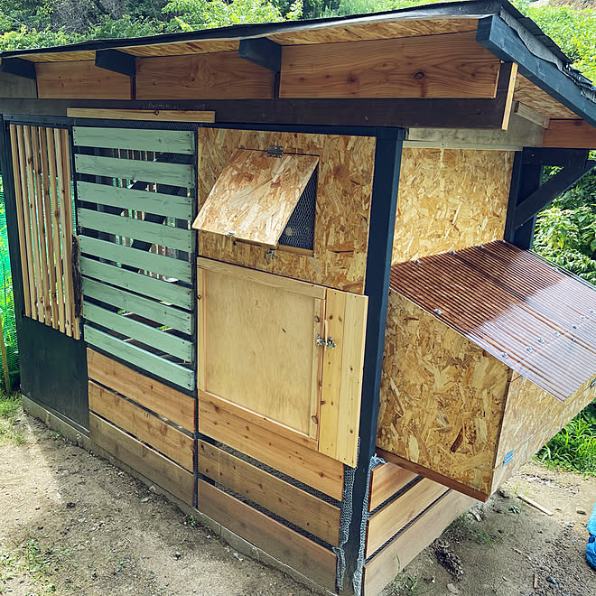 小屋diy 鶏小屋 ニワトリ小屋 ひよこ ひよこを飼ってます などのインテリア実例 22 07 21 12 36 36 Roomclip ルームクリップ