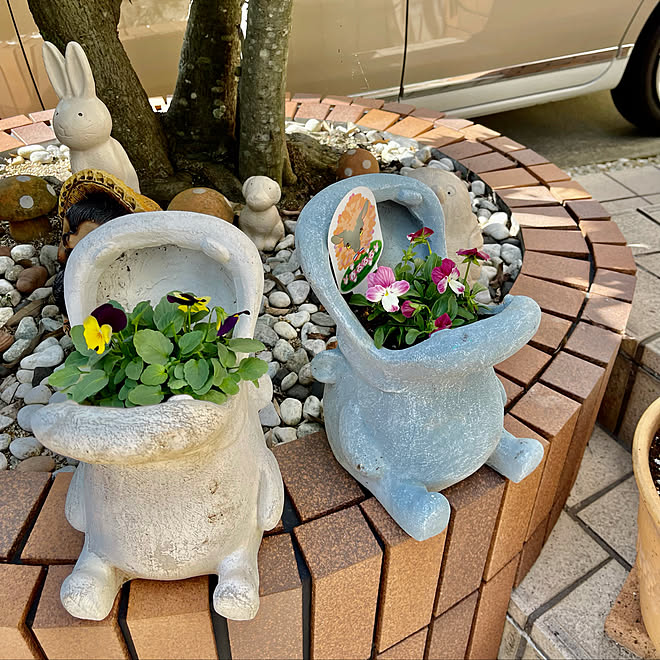 陽春園 宝塚山本 カバさん鉢 玄関前ガーデニング 玄関前 ニッタイ ストラg などのインテリア実例 21 11 05 12 39 41 Roomclip ルームクリップ