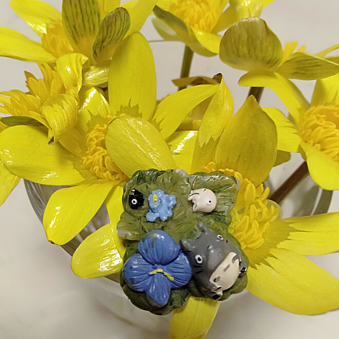 棚 トトロ 春の花 ボタン 三鷹の森ジブリ美術館お土産のインテリア実例 03 17 23 42 Roomclip ルームクリップ