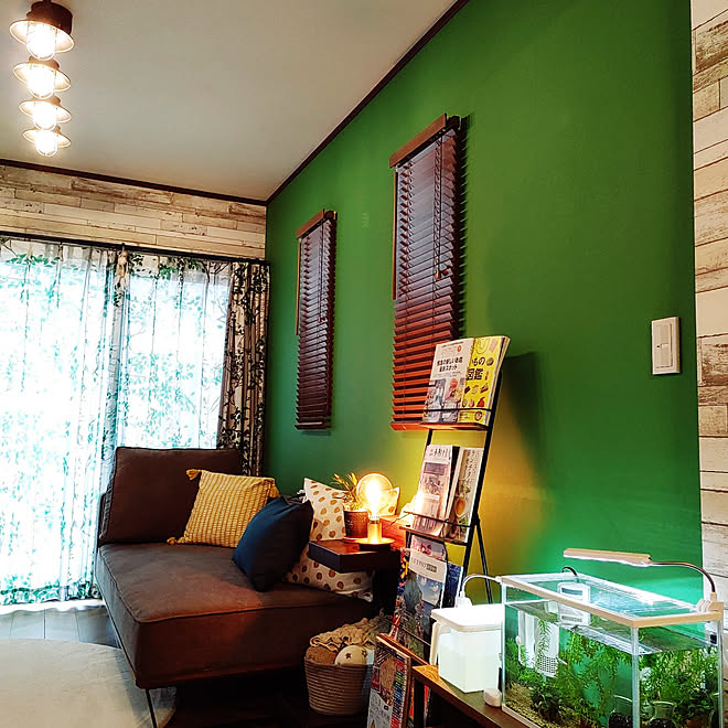 リビング お気に入りのカラー めだか水槽 めだかの赤ちゃん アクセントクロス などのインテリア実例 21 07 08 09 38 35 Roomclip ルームクリップ