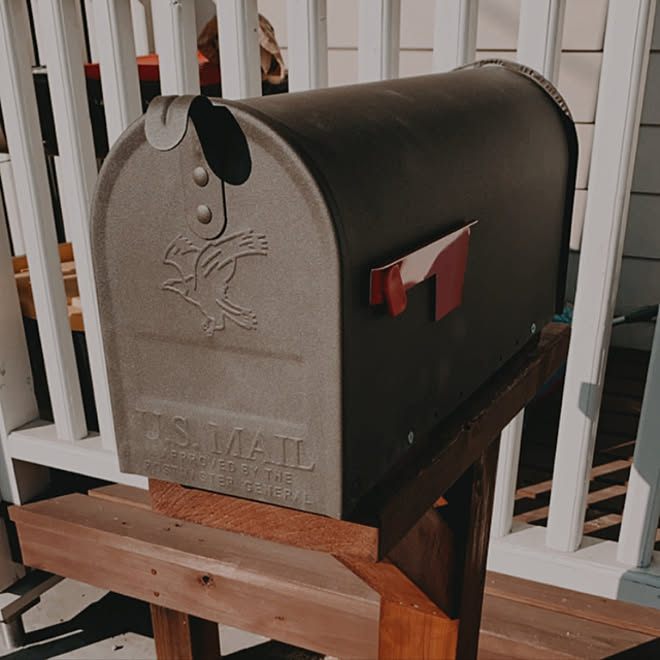 ジョイフル本田 アメリカ 観葉植物 楽天市場 ラップサイディング などのインテリア実例 21 02 09 19 22 28 Roomclip ルームクリップ