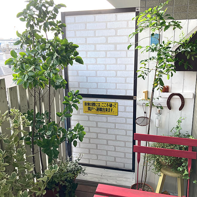IKEA/DIY/ベランダガーデン/DIYウッドデッキ/ベランダDIY...などのインテリア実例 - 2021-09-17 07:50:15 | RoomClip(ルームクリップ) IKEA/DIY/ベランダガーデン/DIYウッドデッキ/ベランダDIY...などのインテリア実例 - 2021-09-17 07:50:15 | RoomClip(ルームクリップ)