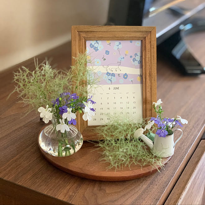 ちいさなスペース 庭に咲いた花 ロベリア フラワーベース ナチュラルキッチン などのインテリア実例 21 06 03 14 33 00 Roomclip ルームクリップ