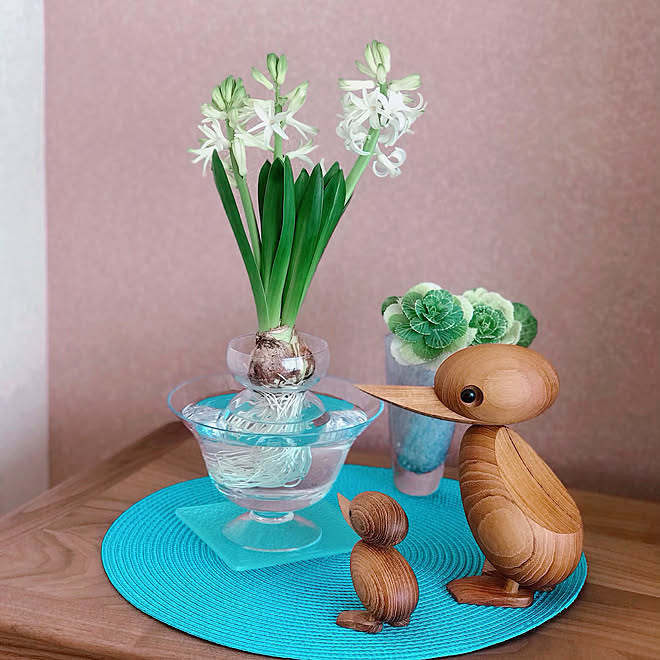 季節を楽しむ暮らし ヒヤシンス ヒヤシンス水栽培 青山フラワーマーケット 花のある暮らし などのインテリア実例 21 01 10 26 29 Roomclip ルームクリップ