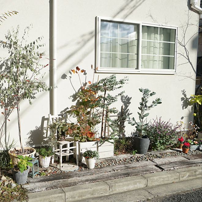 雑木の庭 庭作り 地植え 鉢植え 小さい庭 などのインテリア実例 12 02 17 25 36 Roomclip ルームクリップ