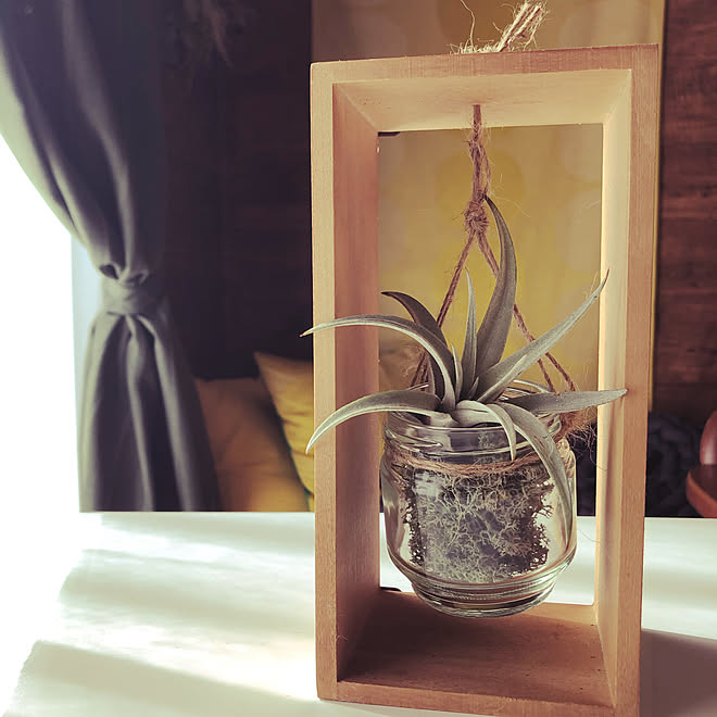 エアプランツ吊り下げ 空き瓶 再利用 空き瓶 10分でできる ディスプレイ棚 などのインテリア実例 21 02 03 12 28 11 Roomclip ルームクリップ