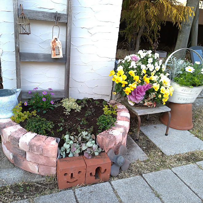 玄関 入り口 自宅サロン 花壇 手作り 花壇の寄せ植え カインズホーム などのインテリア実例 03 07 08 22 Roomclip ルームクリップ