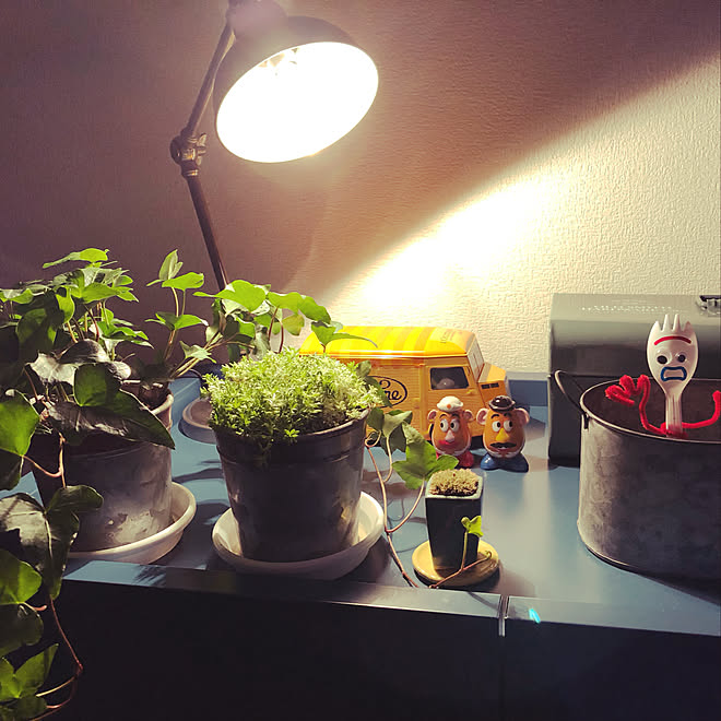 雑貨/観葉植物/照明/棚のインテリア実例 - 2019-11-17 22:31:03