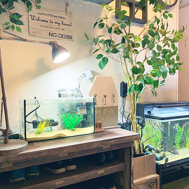 フェイクグリーン ニトリ キーフックボード 水槽 古民家カフェ風 などのインテリア実例 05 24 21 49 Roomclip ルームクリップ