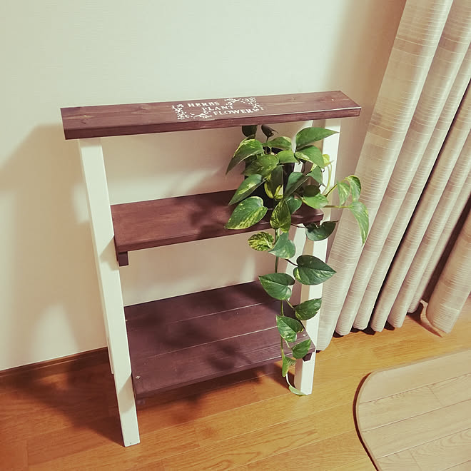 棚/娘と共同作業/雑貨/みどりのある暮らし/観葉植物...などのインテリア実例 - 2019-11-23 00:38:30