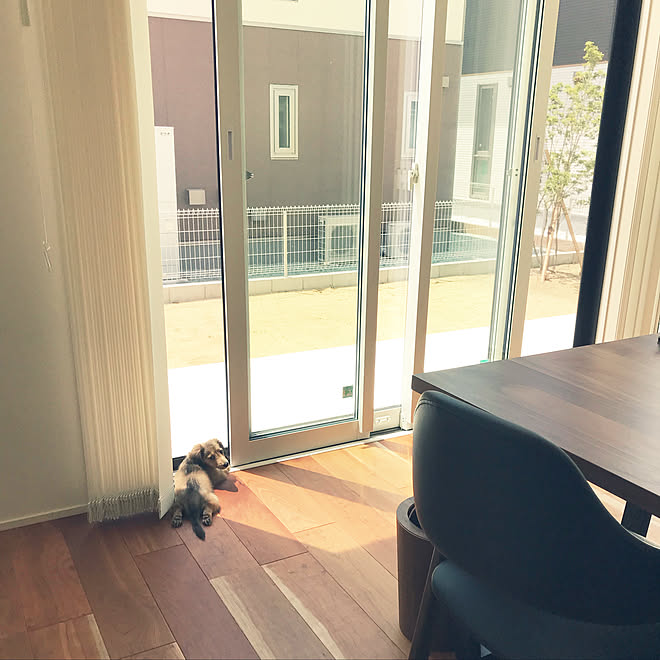 部屋全体 愛犬と暮らす家 マイホーム 新築 積水ハウス などのインテリア実例 18 07 31 12 18 13 Roomclip ルームクリップ