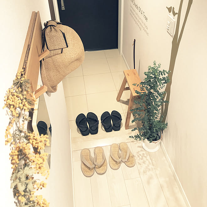 モンベル ミモザドライ ユーカリポポラス ウォールステッカー Hay などのインテリア実例 19 07 12 50 54 Roomclip ルームクリップ