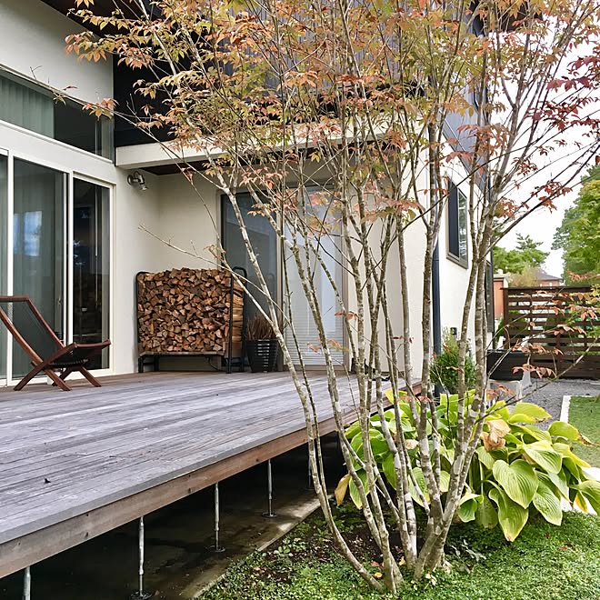 部屋全体 紅葉 ガーデン エクステリア アオダモ などのインテリア実例 16 10 17 22 55 59 Roomclip ルームクリップ