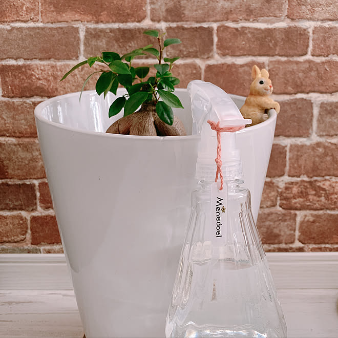 ガジュマル 工作 プラ板タグ 観葉植物 100均 などのインテリア実例 22 04 07 14 58 34 Roomclip ルームクリップ