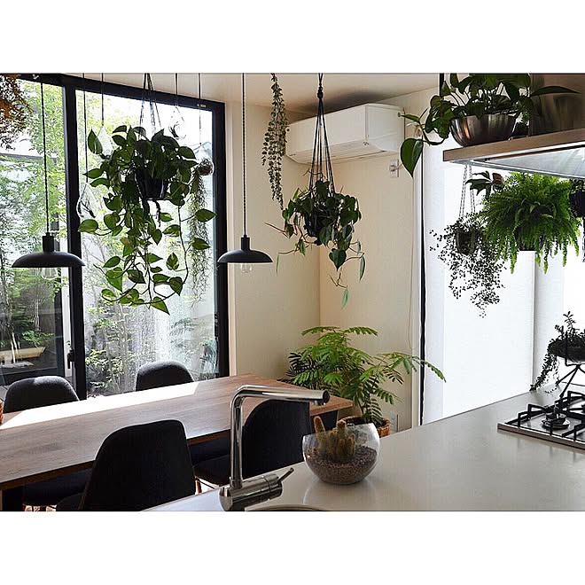 キッチン 観葉植物 シンプルライフ ハンギンググリーン ミニマリストに憧れて などのインテリア実例 17 06 14 07 28 39 Roomclip ルームクリップ