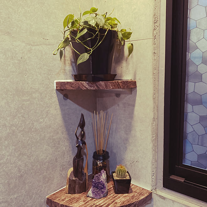 コンクリート打ちっぱなし 観葉植物 Diy ダイソー 棚のインテリア実例 01 27 16 56 16 Roomclip ルームクリップ