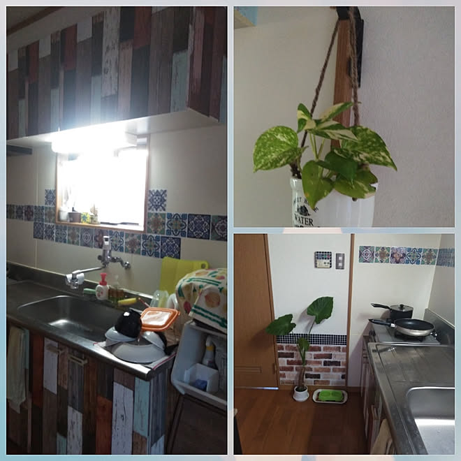 キッチン Diy 風水好き 増やしたい 観葉植物 Rcの出会いに感謝 などのインテリア実例 18 08 27 06 14 44 Roomclip ルームクリップ キッチン Diy 風水好き 増やしたい 観葉植物 Rcの出会いに感謝 などのインテリア実例 18 08 27 06 14 44 Roomclip ルームクリップ
