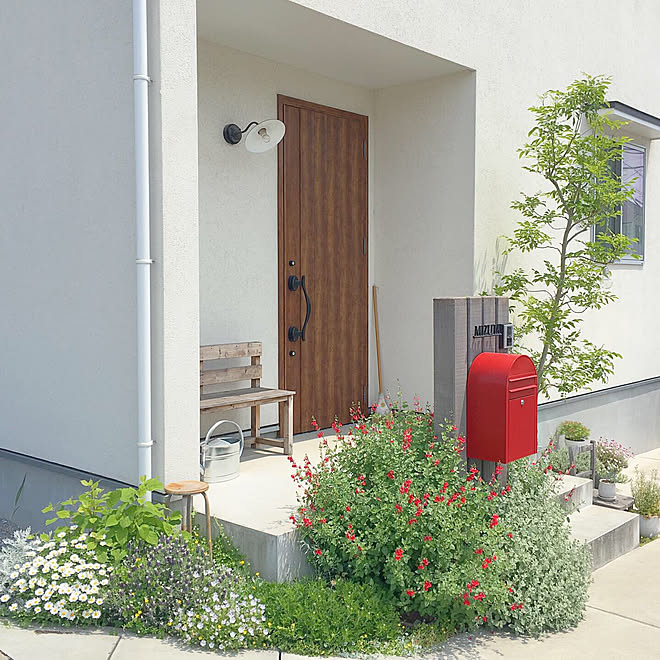 玄関植栽 玄関アプローチ シマトネリコ シルバーレース ノースポール などのインテリア実例 19 05 12 14 03 27 Roomclip ルームクリップ 玄関植栽 玄関アプローチ シマトネリコ シルバーレース ノースポール などのインテリア実例 19 05 12 14 03 27 Roomclip ルームクリップ