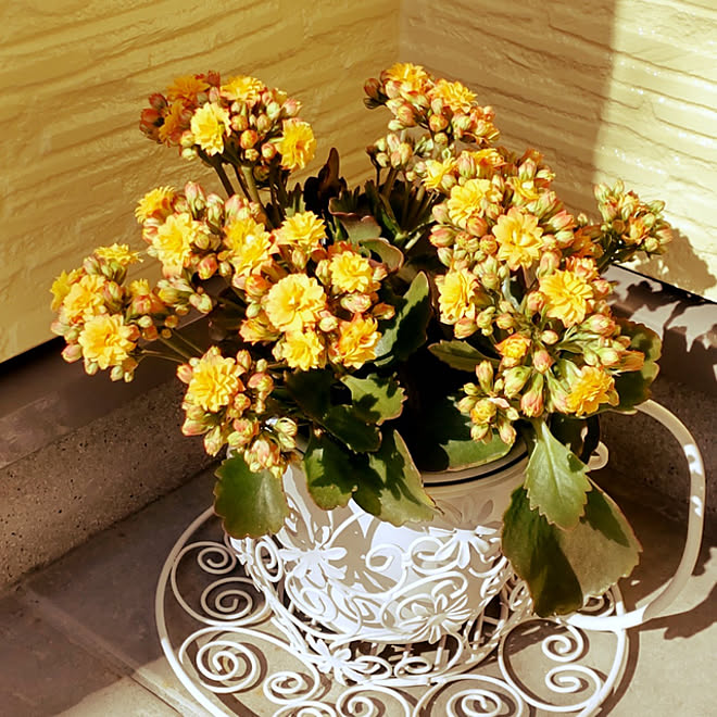 Htpoem3kjvlm Htpoem3kjvlm