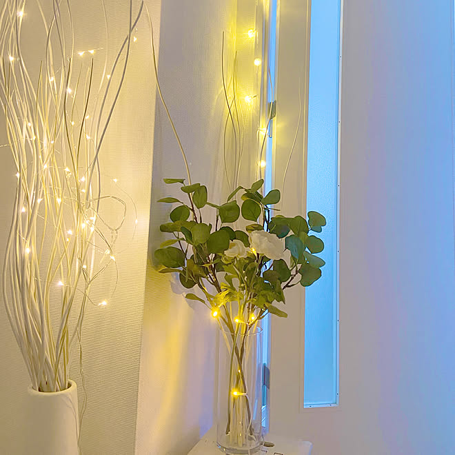 ニトリ ベース ドライウィロー ドライブーケ Ikea Salyu などのインテリア実例 03 17 18 51 35 Roomclip ルームクリップ