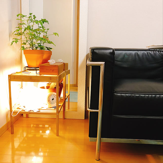 コルビジェソファ ニトリ照明 Ikeaサイドテーブル Ikea ハーブゼラニウム などのインテリア実例 19 06 27 18 00 Roomclip ルームクリップ