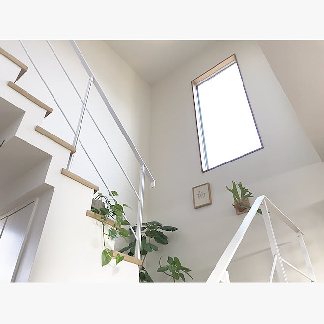 東向き窓 吹き抜け 吹抜け階段 グリーン 壁 天井のインテリア実例 03 13 17 17 00 Roomclip ルームクリップ