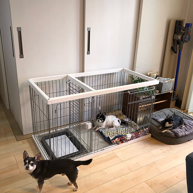 ドッグルームサークル ペティオ いぬと暮らす ケージ 犬 などのインテリア実例 21 06 01 09 08 11 Roomclip ルームクリップ
