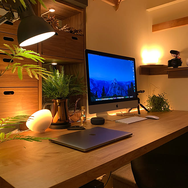間接照明 1rに書斎空間 1r 一人暮らし 観葉植物 Hue Bluetooth などのインテリア実例 09 27 08 30 52 Roomclip ルームクリップ 間接照明 1rに書斎空間 1r 一人暮らし 観葉植物 Hue Bluetooth などのインテリア実例 09 27 08 30 52 Roomclip ルームクリップ