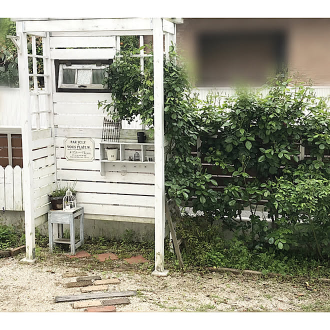 ガーデニング アンジェラ つるバラ レンガの小道 フェンスdiy などのインテリア実例 22 04 23 10 52 44 Roomclip ルームクリップ