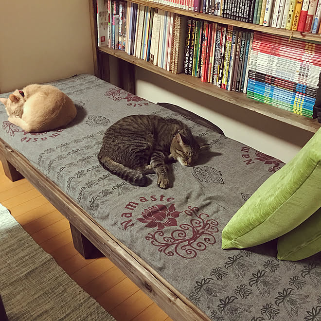 ねこのいる暮らし/ねこと暮らす/インド綿/デイベッドDIY/本棚DIY&hellip;などのインテリア実例 20200514 214711