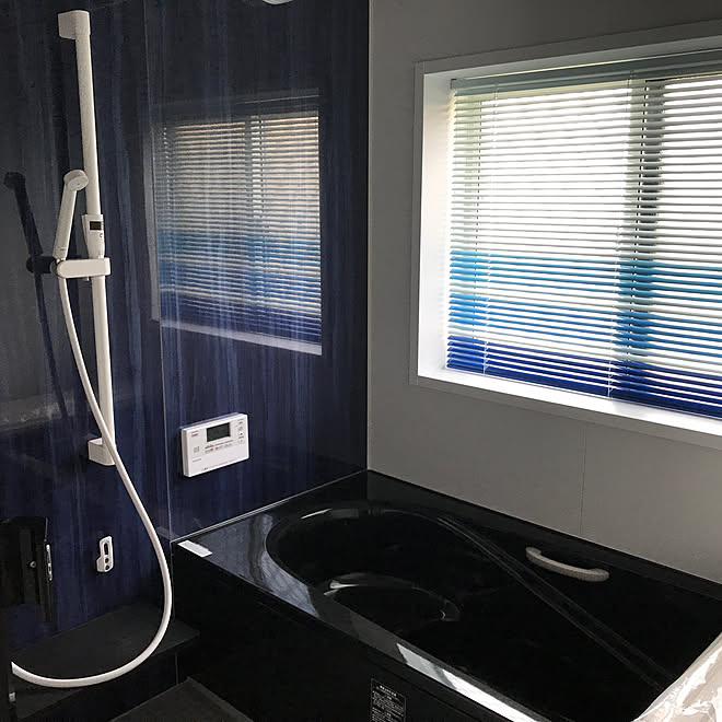 浴室 ブラインド おしゃれ interior