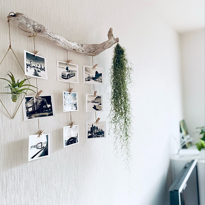 エアープランツ 新生活 観葉植物 Diy エアプランツ などのインテリア実例 22 02 03 10 30 10 Roomclip ルームクリップ エアープランツ 新生活 観葉植物 Diy エアプランツ などのインテリア実例 22 02 03 10 30 10 Roomclip ルームクリップ