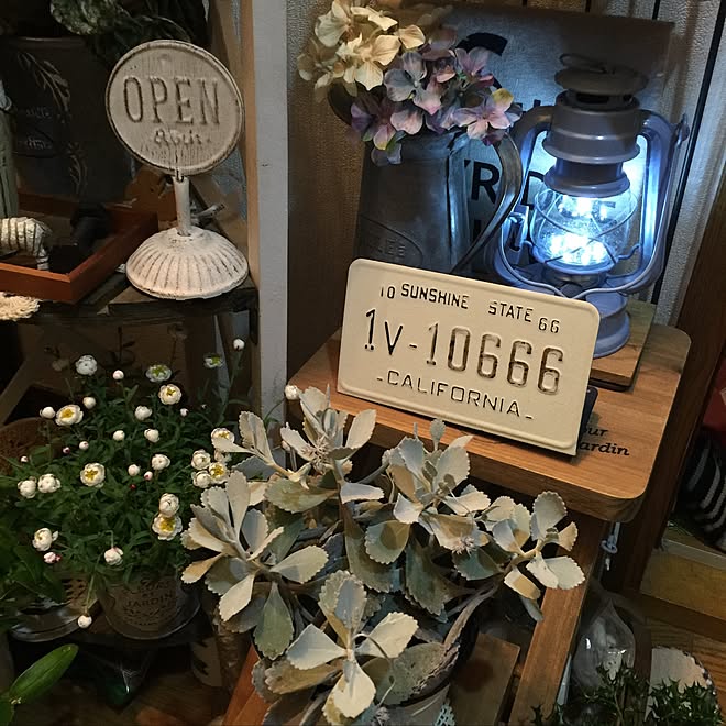 玄関 入り口 カランコエ はなかんざし グリーンのある暮らし 雑貨屋さんで買った物 などのインテリア実例 17 03 24 19 48 00 Roomclip ルームクリップ