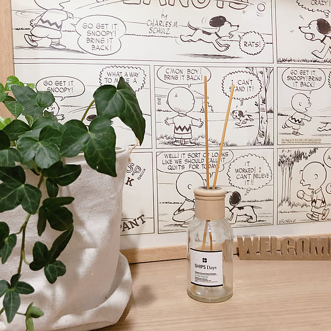 香りのある暮らし スヌーピー 植物 観葉植物 Ships Days などのインテリア実例 11 30 28 38 Roomclip ルームクリップ 香りのある暮らし スヌーピー 植物 観葉植物 Ships Days などのインテリア実例 11 30 28 38 Roomclip ルームクリップ