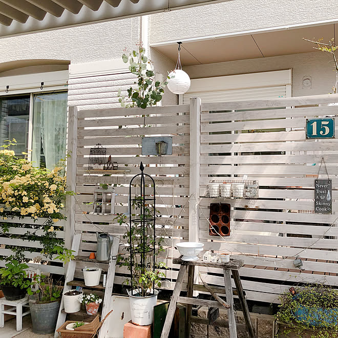 ナチュラルガーデン ガーデニング フェンスdiy 木香薔薇 モッコウバラ黄色 などのインテリア実例 19 04 22 10 17 12 Roomclip ルームクリップ