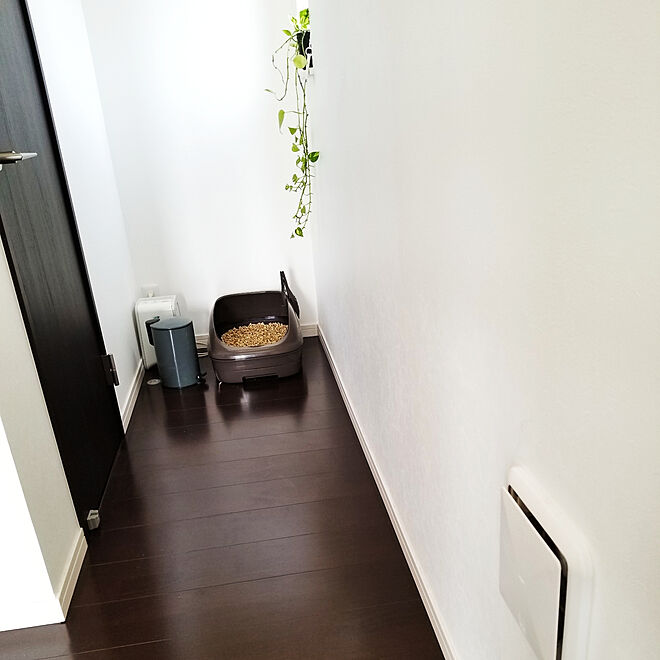 バス トイレ 猫用トイレ 観葉植物 Fujitsu 脱臭機のインテリア実例 02 01 13 15 48 Roomclip ルームクリップ