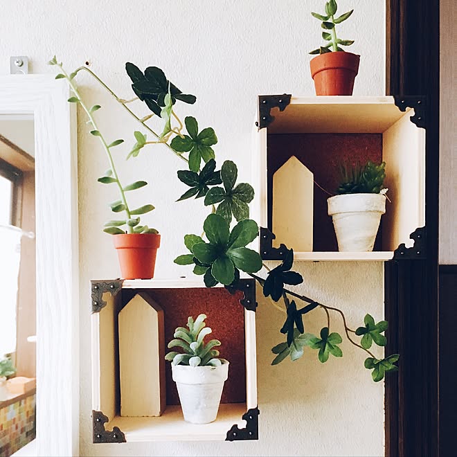 バス トイレ 小さい葉っぱグングン 100均 観葉植物 Welcome などのインテリア実例 17 06 01 13 32 55 Roomclip ルームクリップ