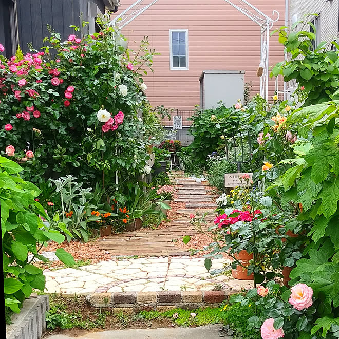 玄関 入り口 趣味 庭 宿根草の庭 ロザリアンになりたい などのインテリア実例 21 05 07 13 56 03 Roomclip ルームクリップ