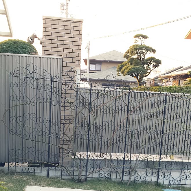 アイアンフェンス 玄関 入り口 つるバラ ピエールドゥロンサール つるアイスバーグ などのインテリア実例 16 02 14 10 31 29 Roomclip ルームクリップ