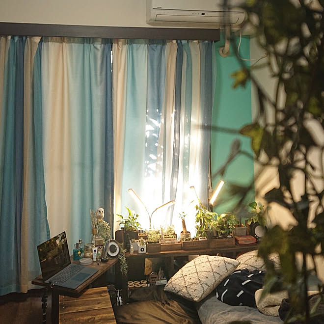 ベッド周り/カーテン/西海岸風/一人暮らしのインテリア実例 20210119 151824 ｜ RoomClip（ルームクリップ）